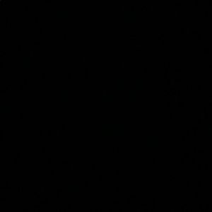 Meet your Posher, Sammy